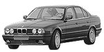 BMW E34 P0996 Fault Code
